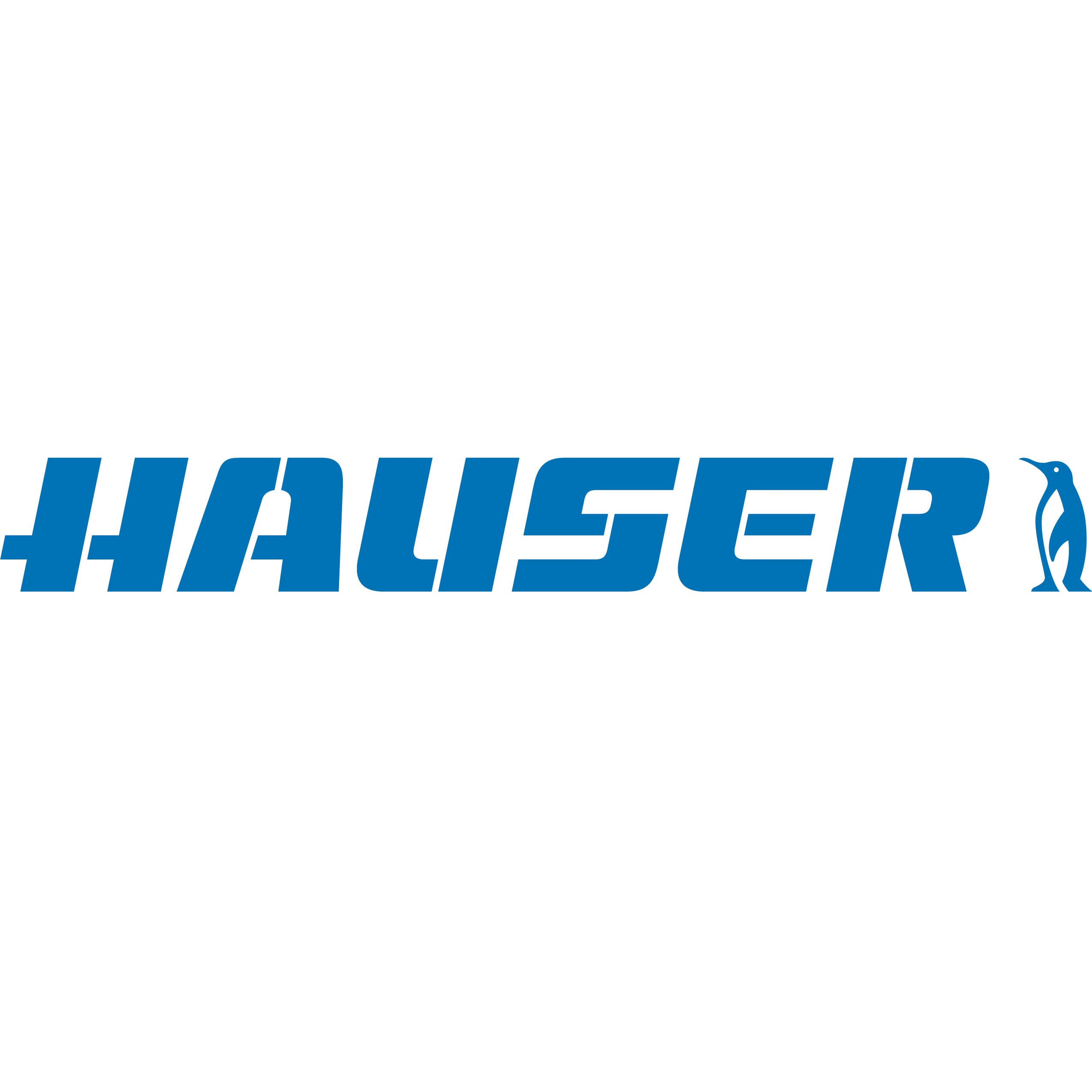 HAUSER GmbH