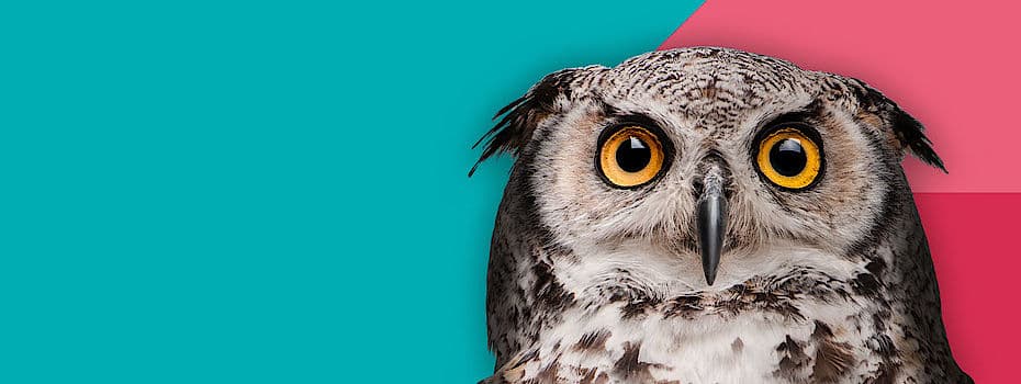 Lange Nacht der Unternehmen