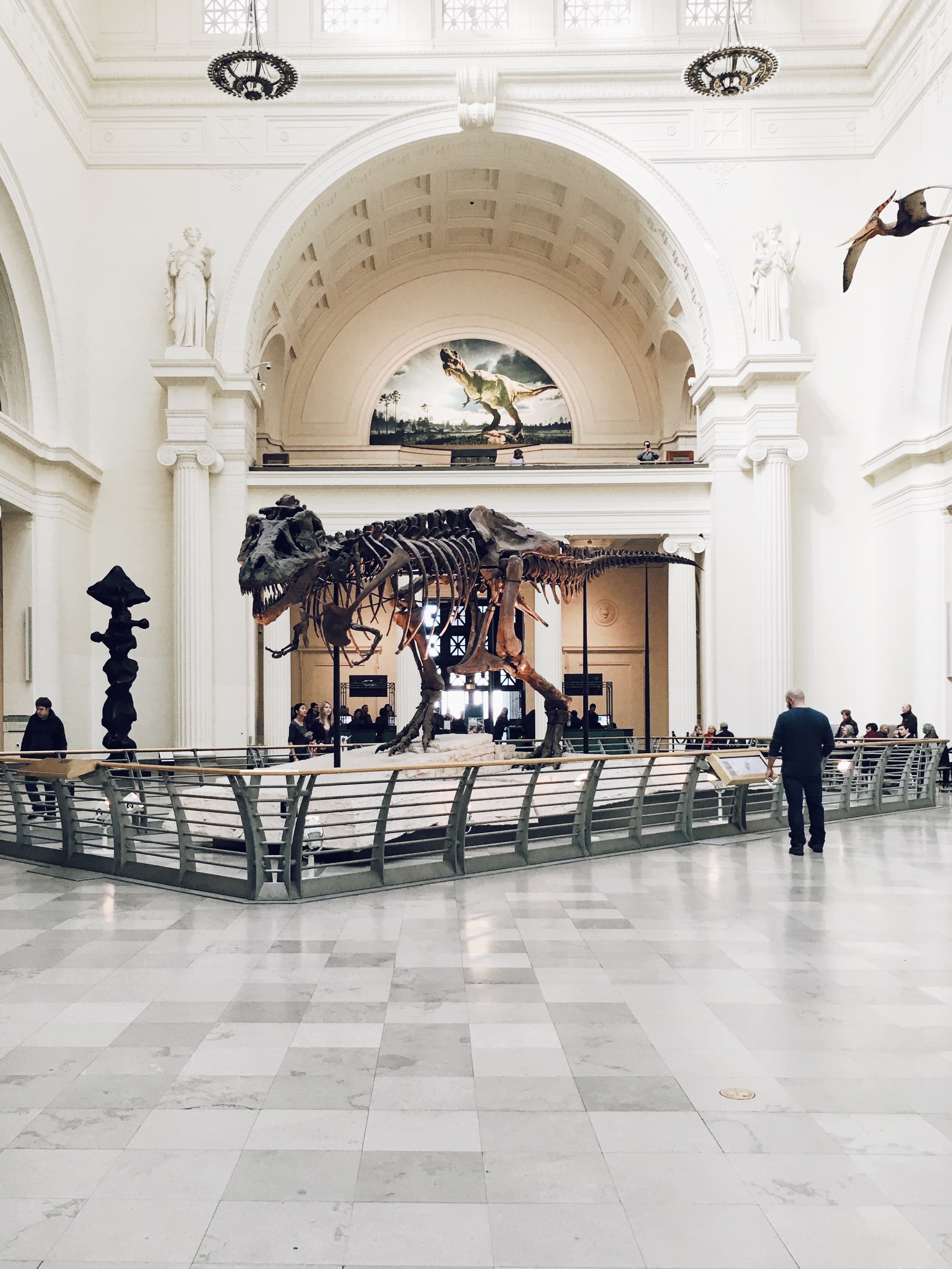 Naturhistorischen Museum Wien